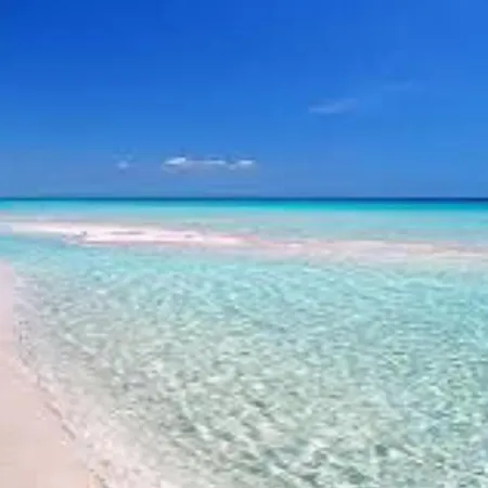 Casa Arcamaria -